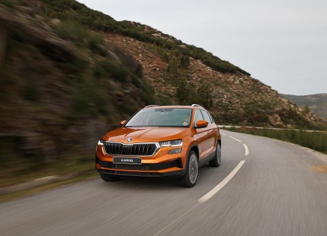 Рекордні 11,2% долі ринку показала Škoda у грудні 2024 року